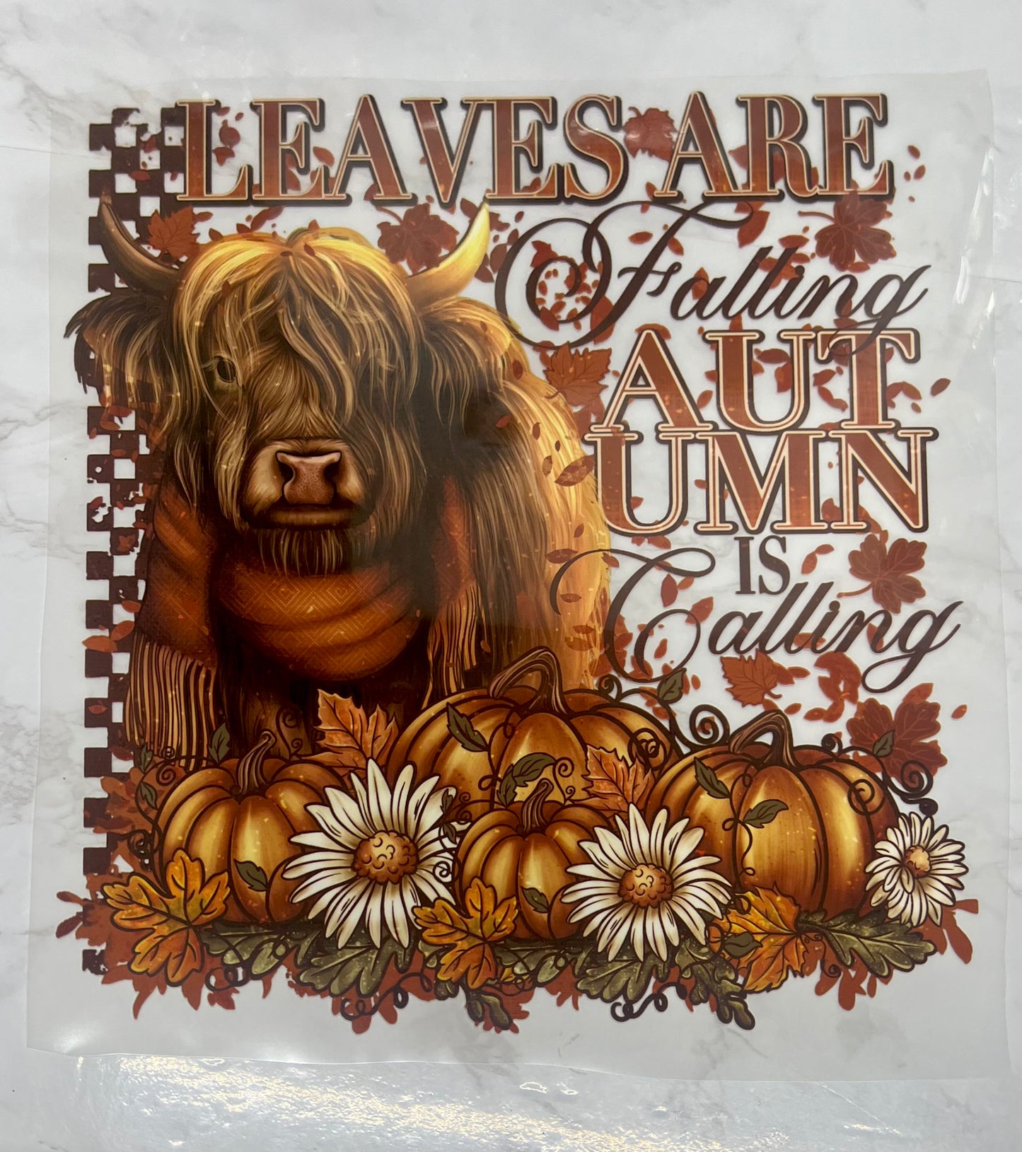 C49: Leaves Are Falling, Autumn is Calling