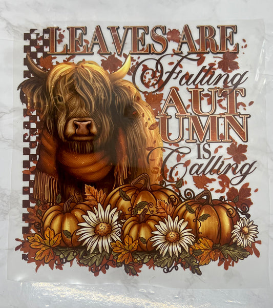 C49: Leaves Are Falling, Autumn is Calling